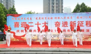 小猫钓鱼游戏龙王版有船