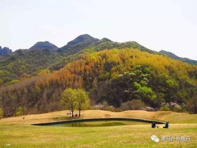“数字滨海湾”项目获二等奖